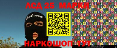 стаф Ставрополь