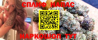 винт Сланцы