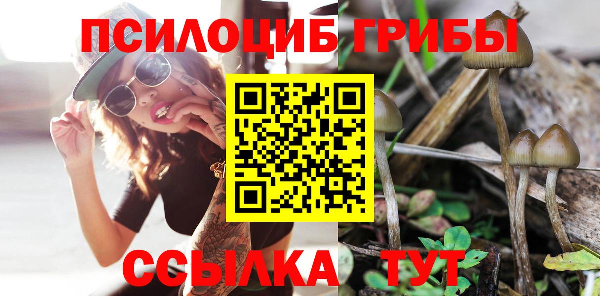 продажа наркотиков  Вход с VPN  Петропавловск-Камчатский  Галлюциногенные грибы GOLDEN TEACHER 